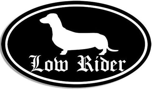 JR Studio 3x5 inch Black Oval Dachshund Low Rider Sticker - Decal Dog Breed Funny dach Vinyl Decal Sticker Car Waterproof Car Decal Bumper Sticker in Saudi Arabia