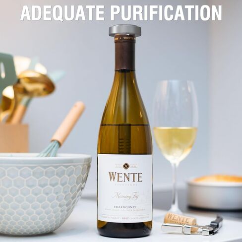 Wine Wand Filter Sulfite Purifier: Wine Filters Remover Histamines Sulfite - Alleviates Headaches Prevent Wine Sensitivities With Contains 4 Filter Boxes (Silver) in Saudi Arabia