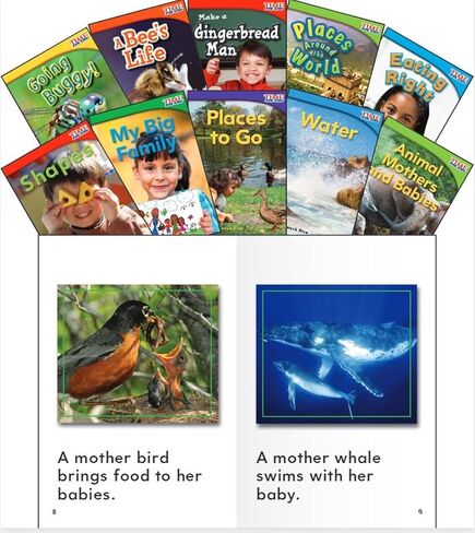 TIME FOR KIDS® Informational Text Grade 1 Readers Set 3 10-Book Set in Saudi Arabia