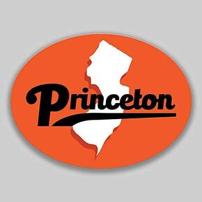 Princeton New Jersey Oval Vinyl City Town College University Vinyl Decal Sticker Car Waterproof Car Decal Bumper Sticker 5" in Kuwait