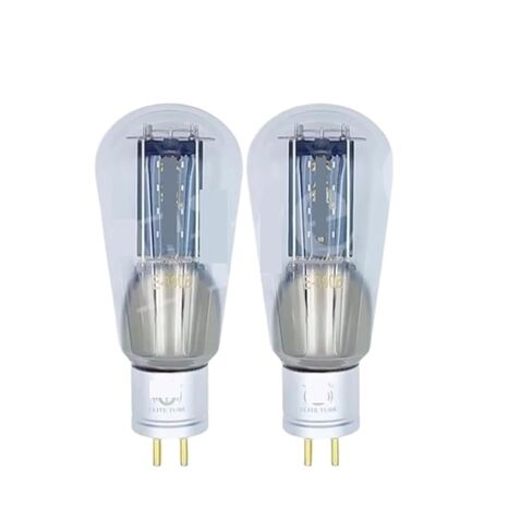 E-300B E300B HiFi Audio Tube Amplifier(2pcs Matched Pair) in Saudi Arabia