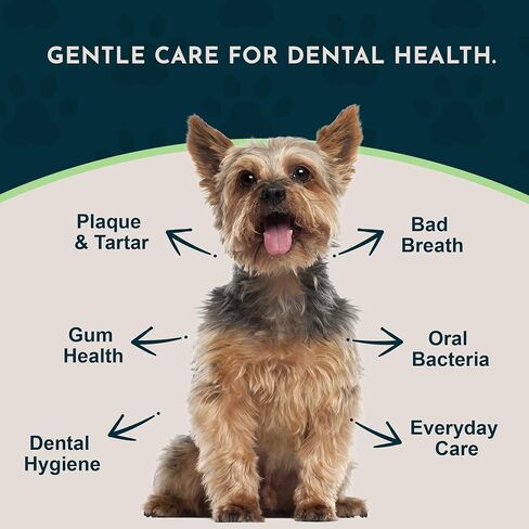 Animal Essentials SeaDent للكلاب - لوحة عشب البحر والإنزيمات، تركيبة التحكم في الجير، ألفا بيتا أميليز، السليوليز، جذر الخطمي، اللحاء الداخلي الدردار الزلق، طبيعي بالكامل - 2.5 أونصة (عبوة من قطعة واحدة) in Kuwait