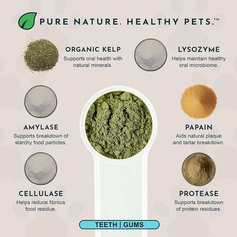 Animal Essentials SeaDent للكلاب - لوحة عشب البحر والإنزيمات، تركيبة التحكم في الجير، ألفا بيتا أميليز، السليوليز، جذر الخطمي، اللحاء الداخلي الدردار الزلق، طبيعي بالكامل - 2.5 أونصة (عبوة من قطعة واحدة) in Kuwait