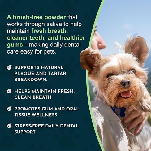 Animal Essentials SeaDent للكلاب - لوحة عشب البحر والإنزيمات، تركيبة التحكم في الجير، ألفا بيتا أميليز، السليوليز، جذر الخطمي، اللحاء الداخلي الدردار الزلق، طبيعي بالكامل - 2.5 أونصة (عبوة من قطعة واحدة) in Kuwait
