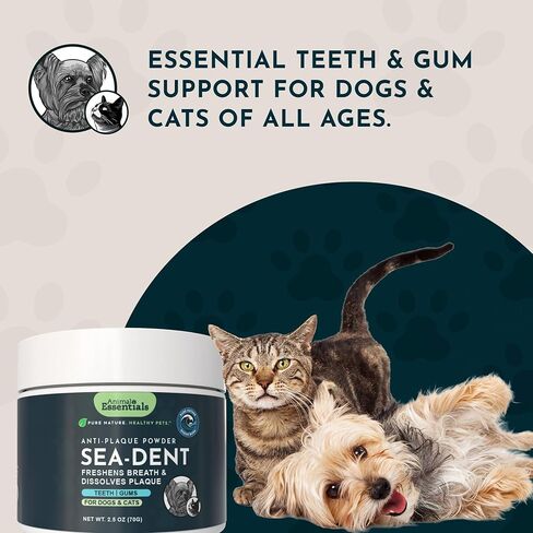 Animal Essentials SeaDent للكلاب - لوحة عشب البحر والإنزيمات، تركيبة التحكم في الجير، ألفا بيتا أميليز، السليوليز، جذر الخطمي، اللحاء الداخلي الدردار الزلق، طبيعي بالكامل - 2.5 أونصة (عبوة من قطعة واحدة) in Kuwait