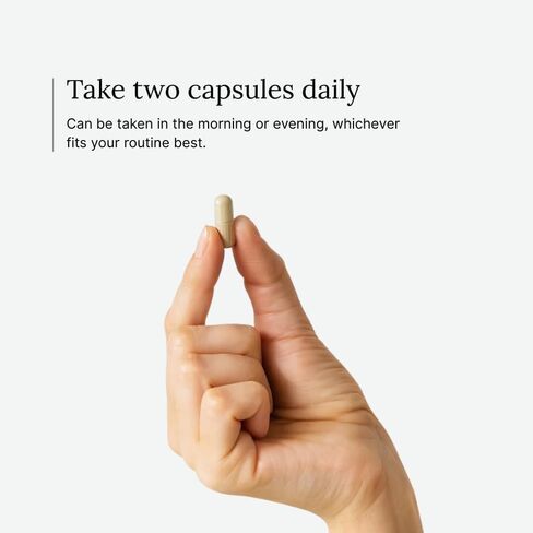 مكمل صحة الدماغ المعرفي ماكس - DMAE باكوبا الجنكة جابا فوسفاتيديل سيرين - تركيبة تغذية الدماغ مع فيتامينات DHA والمعادن المعقدة - العافية الإدراكية اليومية - نباتي - 60 كبسولة in Kuwait