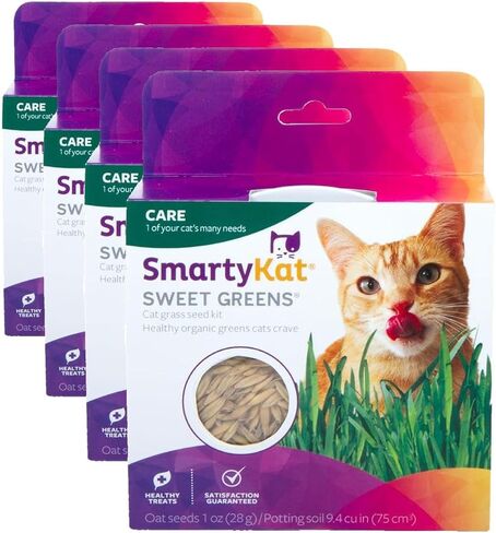SmartyKat (5 مجموعة حزمة 3X مجموعة أدوات نمو عشب القطط الحلوة الخضراء، 2X ألعاب حقيبة مملوءة بالنعناع البري - 5 مجموعات حزمة in Kuwait