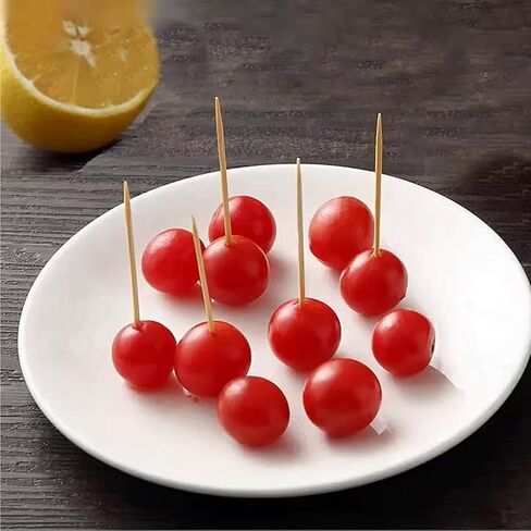 300-Count Disposable Toothpicks, Flip-Top Cylinder Container for Home, Restaurant and Travel Use in Saudi Arabia