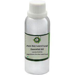 R V Essential Pure Bay Laurel Leaf Essential Oil 5ml (0.169oz)- Laurus Nobilis (100% Pure and Natural Therapeutic Grade) in Saudi Arabia