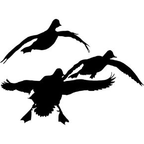 ملصقات نافذة صيد البط كومين آت يا داك لصيد البط، ملصقات نافذة للصيد 5026 من Waterfowldecals (متوسط، أبيض) in Kuwait