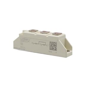 SKKD 46-16 SKKD46/18 SKKD46/06 SKKD46/08 SKKD46/12 SKKD46/14 وحدة الصمام الثنائي (SKKD46/18) in Kuwait