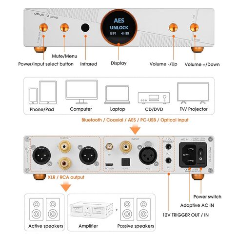 Douk Audio Q100 Balanced DAC: AK4499EX & AK4191 Hi-Res DAC (PCM 768kHz/32-bit & DSD512) - Bluetooth 5.1 LDAC - XLR/RCA Outputs for Audiophiles & Studio Use in Saudi Arabia