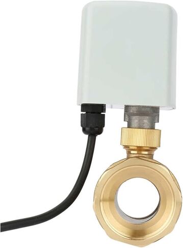 AC220V DN40 DN50 1-1/2" Brass Motorized Ball Valve 2-Way 3-Wire Motorized Ball Valve(2′) in Saudi Arabia
