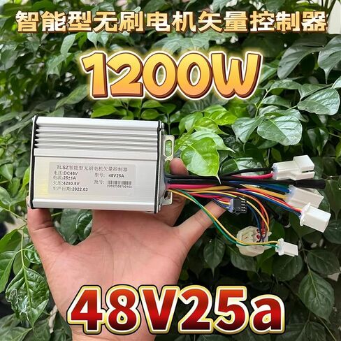 1200W 48v25a Intelligent Brushless Motor Vector Controller for Electric Vehicles in Saudi Arabia