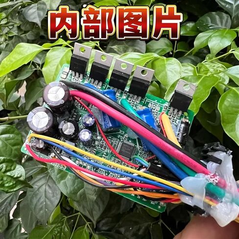 1200W 48v25a Intelligent Brushless Motor Vector Controller for Electric Vehicles in Saudi Arabia