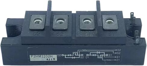 P2HM1102H Power Module in Saudi Arabia