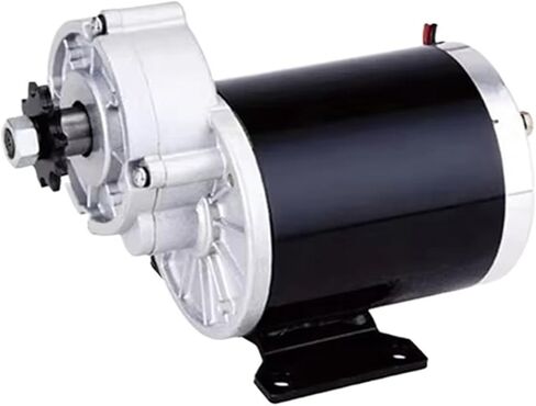 450w 24V 36V 48V DC Gear Brushed Motor,MY1020Z(36V 450W) in Saudi Arabia