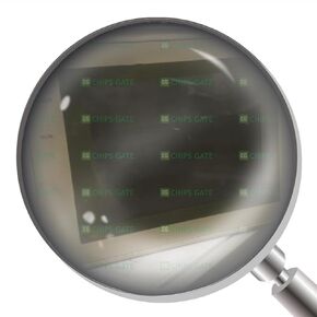 NT31C-ST142-EV2 1 قطعة جديد in Kuwait