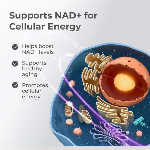 Neurogan NMN Supplement Capsules – Nicotinamide Adenine Dinucleotide Precursor Cellular Energy & Brain Focus Support – 500 mg High-Potency Nicotinamide Mononucleotide per Serving, 120 Count in Kuwait