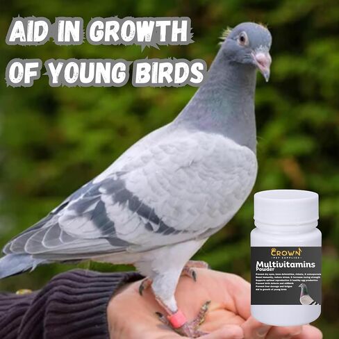 مسحوق متعدد الفيتامينات للحمام - تركيبة فيتامين نهائية للسباق والتكاثر - يدعم النمو وقوة العظام والصحة الإنجابية وصحة الريش - يعزز ذروة الأداء والرفاهية 50 جرام in Kuwait