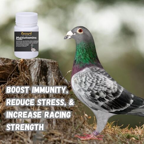 مسحوق متعدد الفيتامينات للحمام - تركيبة فيتامين نهائية للسباق والتكاثر - يدعم النمو وقوة العظام والصحة الإنجابية وصحة الريش - يعزز ذروة الأداء والرفاهية 50 جرام in Kuwait