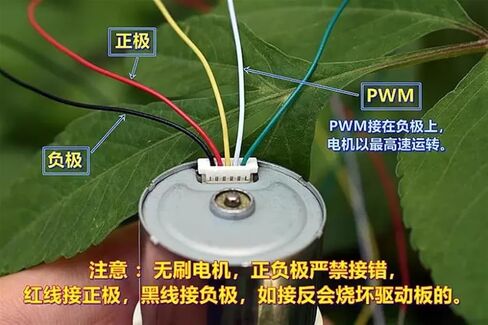 مضخة الحجاب الحاجز المصغرة DC 12V بدون فرش مع تحكم دقيق في سرعة PWM، ووظيفة التحضير الذاتي والفراغ in Saudi Arabia