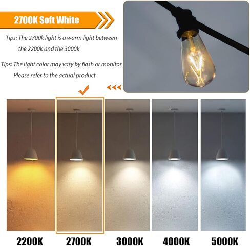 12 حزمة من مصابيح إديسون LED بقدرة 2 وات، مصابيح كهربائية 25 وات مكافئة، 2700 كلفن دافئ ناعم مع قاعدة قياسية E26، مصابيح إضاءة منخفضة واط LED ST19، 250 لومن، غير قابلة للتعتيم، 120 فولت in Kuwait