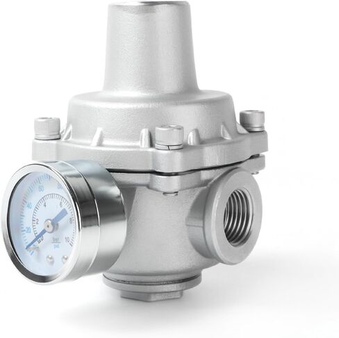 صمام منظم ضغط المياه Kodilin مع مقياس، منظم ضغط المياه RV قابل للتعديل 1/2 بوصة NPT، صمام تخفيض ضغط المياه من الفولاذ المقاوم للصدأ 304 للحديقة والمنزل والاستخدام الصناعي in Kuwait