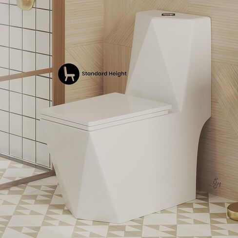 Brusque One-Piece Square Toilet Dual-Flush 1.1/1.6 gpf in Saudi Arabia