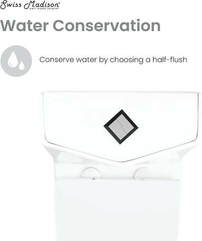 Brusque One-Piece Square Toilet Dual-Flush 1.1/1.6 gpf in Saudi Arabia