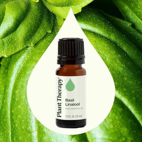 Plant Therapy Basil Linalool Essential Oil 10 mL (1/3 oz) 100% Pure, Undiluted, Aromatherapy, for Muscle Soreness and Digestive Discomfort in Saudi Arabia