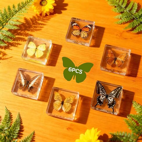 6 قطع من عينات الفراشة الحقيقية ثقالة الورق مع نظارات مكبرة، مجموعة متنوعة من الفراشات الراتنجية المؤطرة، ألعاب العرض التعليمية للعلوم في المنزل والمكتب والمدرسة (6 أنماط) in Kuwait