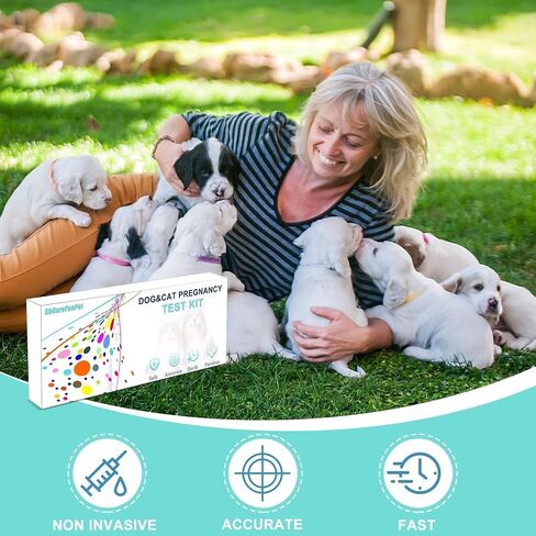مجموعة أدوات اختبار حمل الحيوانات الأليفة للكلاب والقطط - شريط الكشف عن استرخاء البول في المنزل - دقة 98.8%، غير غازية وخالية من الإجهاد - عبوة واقية محكمة الغلق بشكل فردي (عدد واحد) in Kuwait
