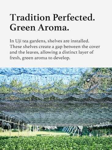 مسحوق كيوهاياشيا هوجيتشا، كيوتو أوجي، مسحوق لاتيه الشاي الأخضر المحمص الياباني، قليل الكافيين (60 جم ​​/ 2.1 أونصة) in Kuwait