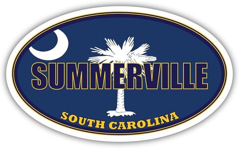 مدينة سمرفيل علم ولاية كارولينا الجنوبية | ملصق سيارة مطبوع عليه علم SC Dorchester County بألوان الولاية البيضاوية مقاس 3×5 بوصات in Saudi Arabia