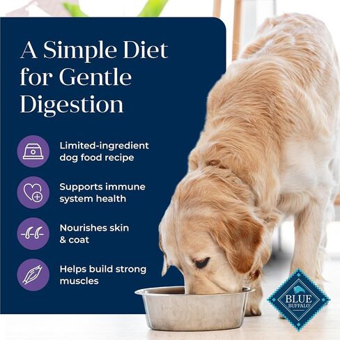 Blue Buffalo Basics Grain-Free Adult Dry Dog Food, Skin & Stomach Care, Limited Ingredient Diet for Dogs, Lamb Recipe, 11-lb. Bag in Saudi Arabia