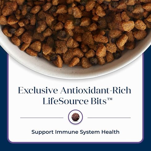 Blue Buffalo Basics Grain-Free Adult Dry Dog Food, Skin & Stomach Care, Limited Ingredient Diet for Dogs, Lamb Recipe, 11-lb. Bag in Saudi Arabia