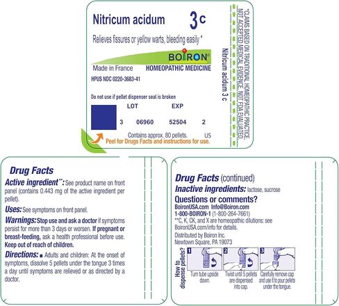 Boiron Nitricum Acidum 3C for Bleeding Fissures or Warts - 80 Pellets in Saudi Arabia