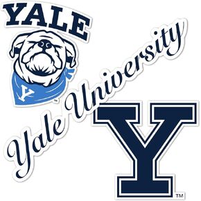 Desert Cactus Yale University Sticker Bulldogs Vinyl Decals Laptop Water Bottle Car Scrapbook T5 (Type 5-1) in Saudi Arabia