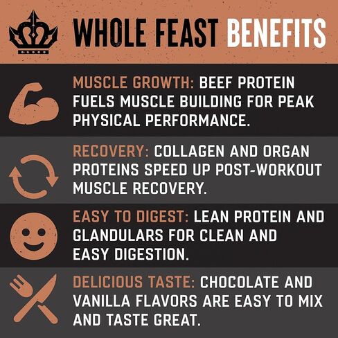 The Fittest Whole Feast Beef Protein Powder - Milk Chocolate - Grass Fed Nose to Tail Carnivore Blend Including Liver, Colostrum and Whole Bone - BCAAs - 14g Collagen, 21g Total Protein in Saudi Arabia