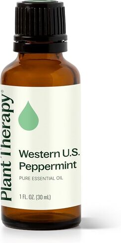 Plant Therapy Peppermint Western U.S. Essential Oil 30 mL (1 oz) 100% Pure, Undiluted, Therapeutic Grade in Saudi Arabia
