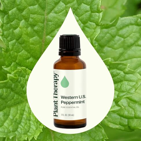 Plant Therapy Peppermint Western U.S. Essential Oil 30 mL (1 oz) 100% Pure, Undiluted, Therapeutic Grade in Saudi Arabia