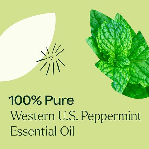 Plant Therapy Peppermint Western U.S. Essential Oil 30 mL (1 oz) 100% Pure, Undiluted, Therapeutic Grade in Saudi Arabia
