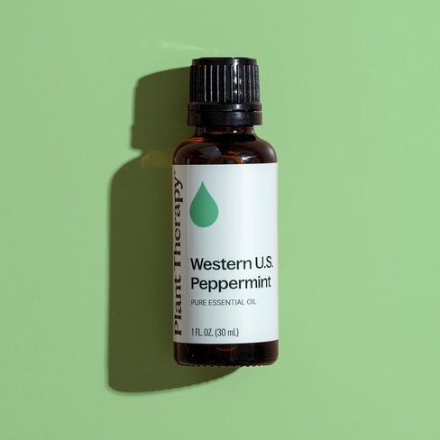 Plant Therapy Peppermint Western U.S. Essential Oil 30 mL (1 oz) 100% Pure, Undiluted, Therapeutic Grade in Saudi Arabia