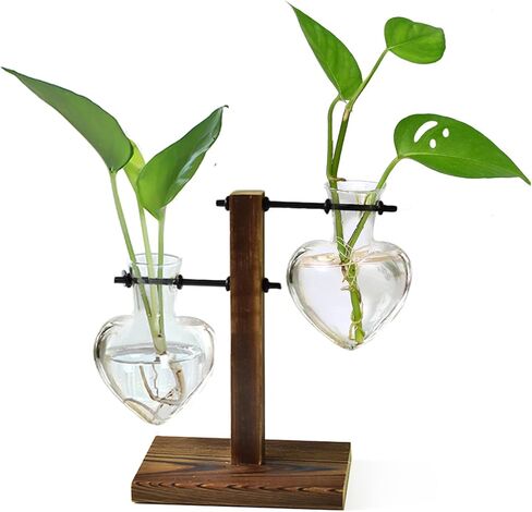 حامل خشبي من XXXFLOWER Plant Terrarium، لمبة زرع مائية زجاجية معدنية دوارة، نباتات هواء قديمة، نباتات مائية لتزيين المكاتب المنزلية، هدايا لمحبي النباتات والزوجة والأم - 2 مزهرية لمبة الحب in Kuwait