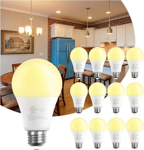 مصابيح LED DAYBETTER A19، مصابيح LED مكافئة 60 وات، عمر طويل سطوع عالي 800LM ضوء النهار الأبيض 5000K، E26 مصابيح إضاءة أساسية قياسية لمكتب غرفة النوم المنزلية، غير قابلة للتعتيم، 24 حزمة in Kuwait