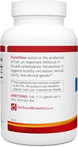 Wellness Resources Pantethine - Active Vitamin B5. Vegan (300mg, 90 Capsules) in Saudi Arabia
