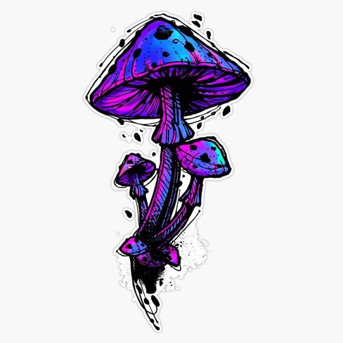 Psychedelic Mushrooms Sticker Vinyl Decal Car Laptop Wall Window Bumper Sticker 5" in Saudi Arabia