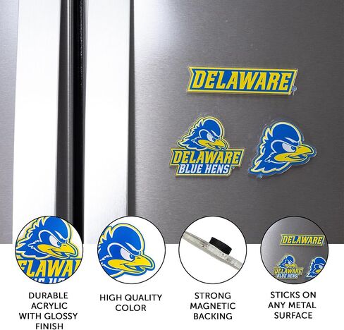 Desert Cactus University of Delaware Acrylic Magnet 3 Pack UD Fightin Blue Hens Decorative Design Officially Licensed (Magnet Set A) in Saudi Arabia