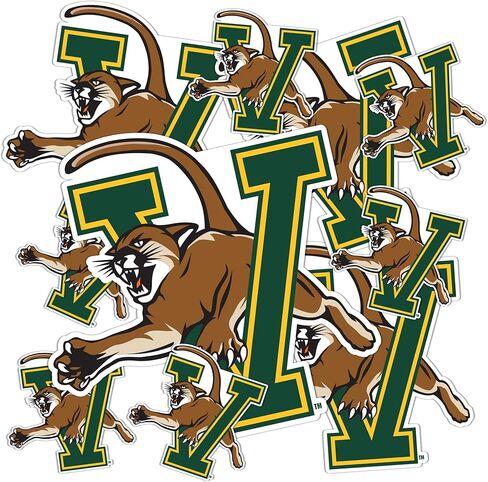 Desert Cactus The University of Vermont Sticker UVM Catamounts Vinyl Decals Laptop Water Bottle Car Scrapbook 13.43x10.98 Sheet T3 (Type 3-1) in Saudi Arabia